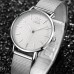 Shengke 0006 Sliver